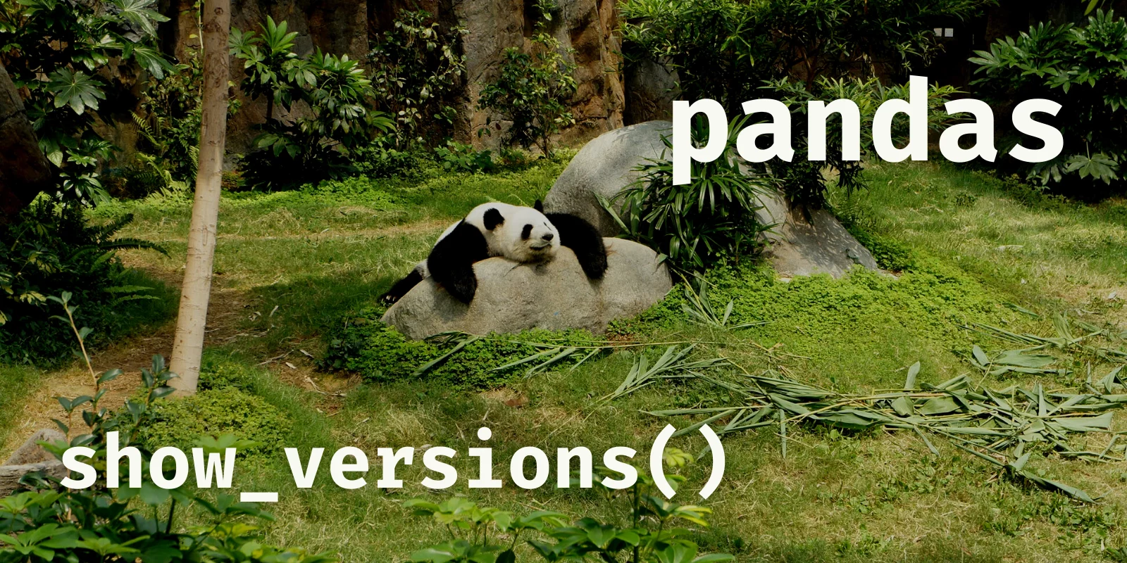 A picture of panda (the mammal) with the words "pandas" and "show_versions()" written.