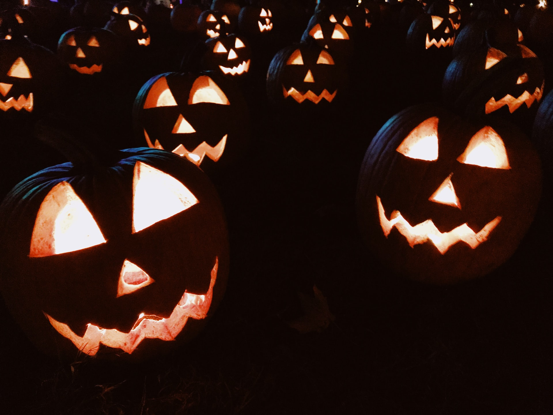 A pumpkin patch with Halloween-themed carved pumpkins.