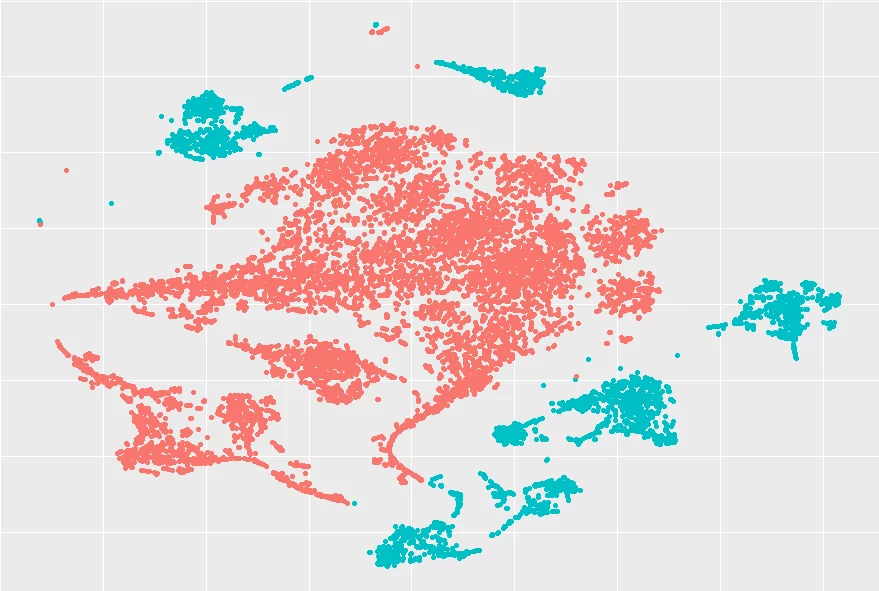 A 2D visualisation of the data that t-SNE projects in the lower dimensional space.