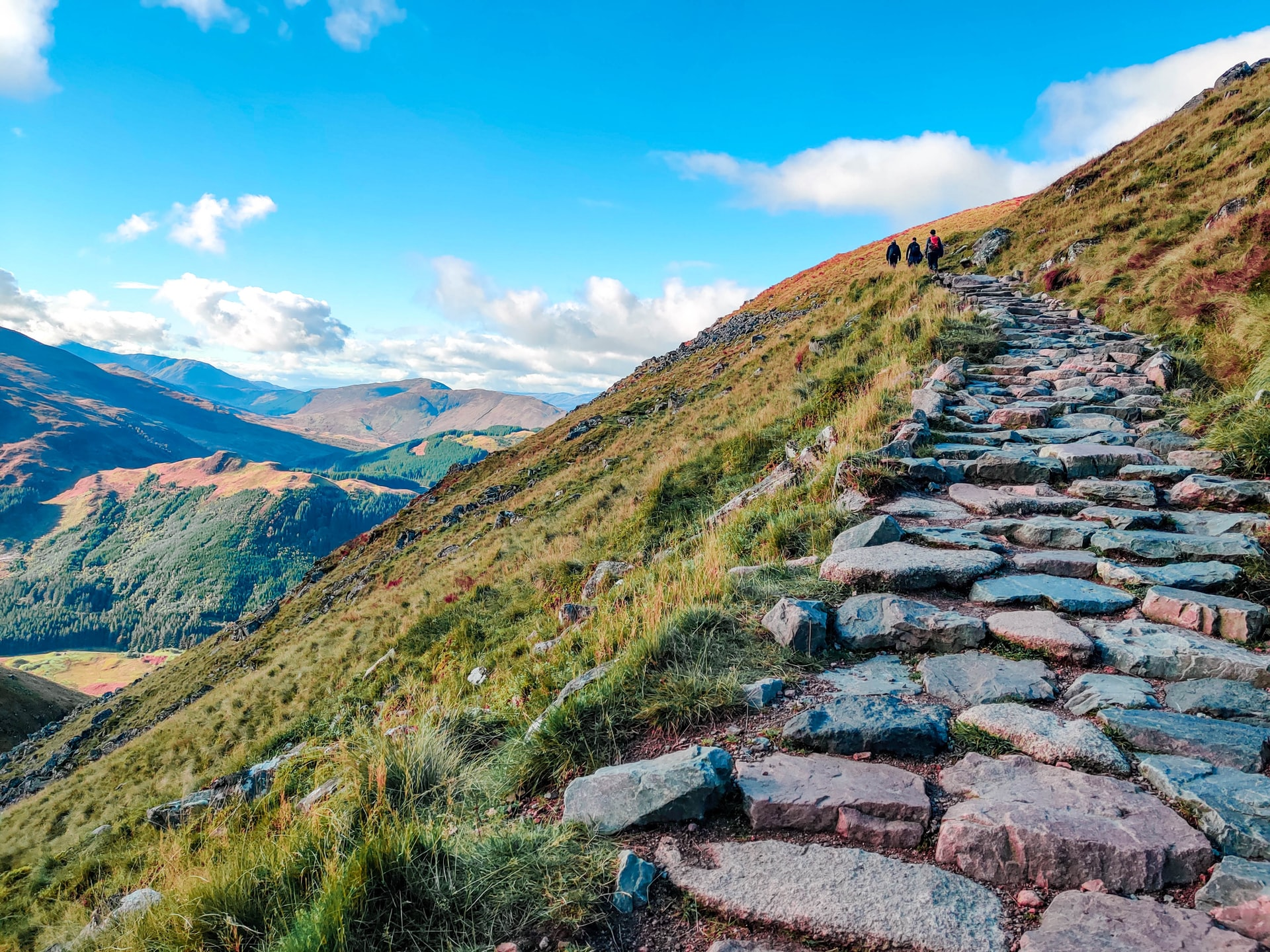 A rocky trail heading up a hill.