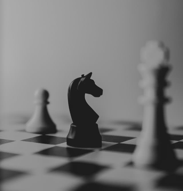 Um cavalo de xadrez