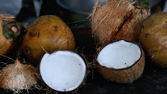 A photograph of some coconuts, courtesy of user "zibik" from unsplash.com.
