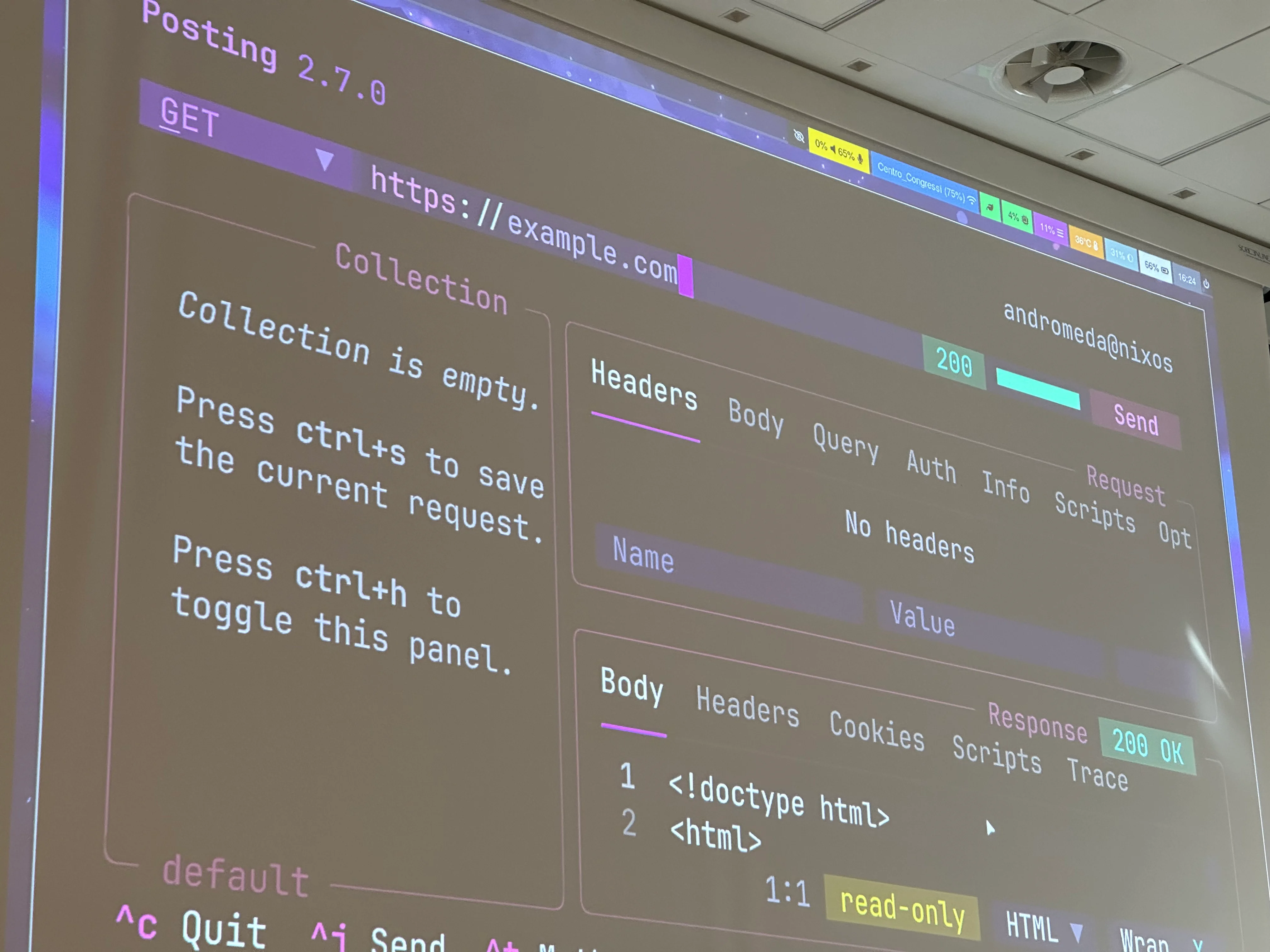 A picture of a projector screen when you can see a modern-looking application running in the terminal.