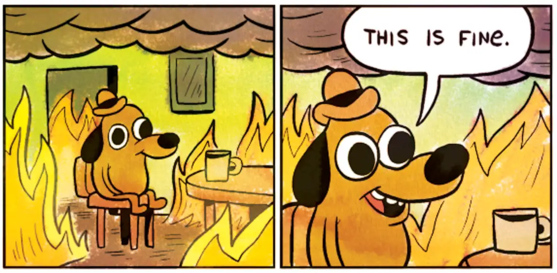 Popular meme of a cartoon with a dog sitting in a room that is engulfed in flames. The dog is smiling and saying “This is fine”.