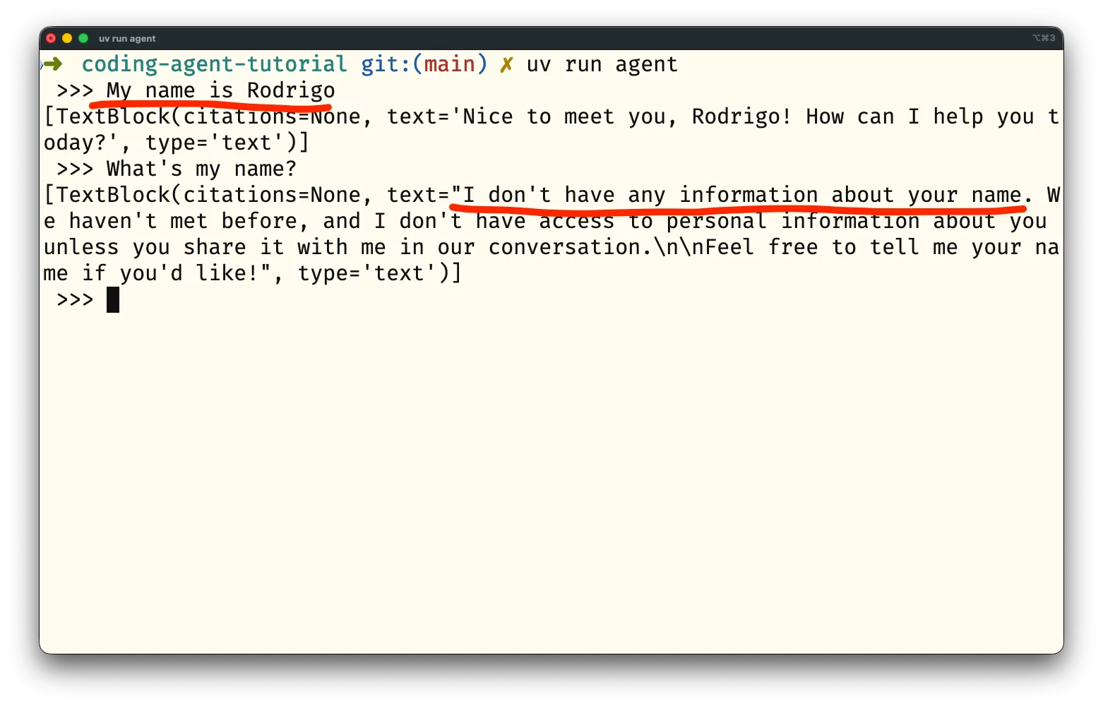 The agent can't tell my name. Screenshot of the agent saying it doesn't know my name immediately after me saying my name is Rodrigo.